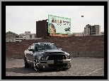 Ford Mustang, Shelby